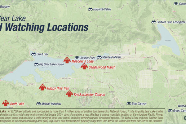 Map of bird watching locations is Big Bear Lake