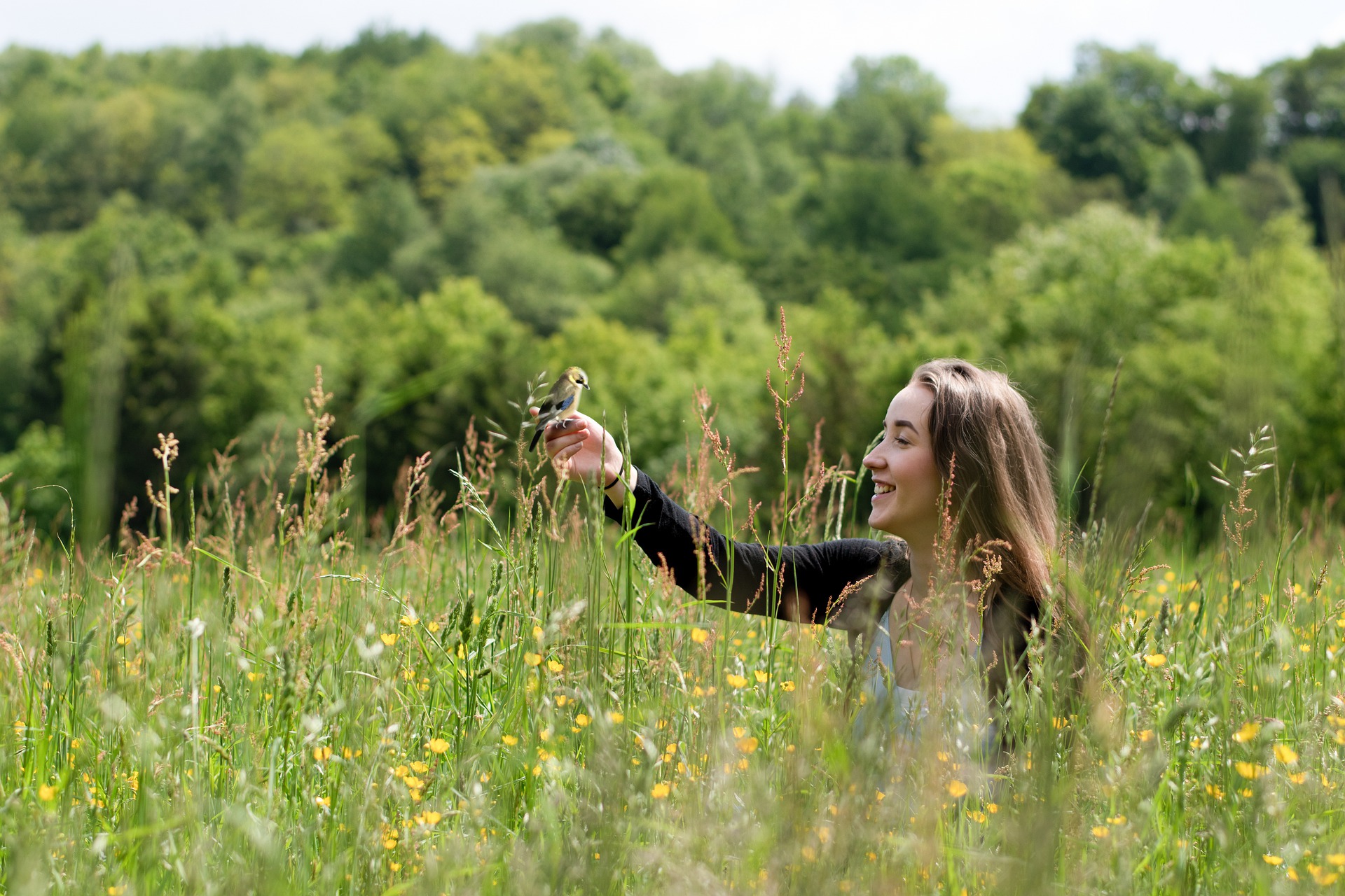 A bird alights on the hand of a smiling young woman in a meadow.