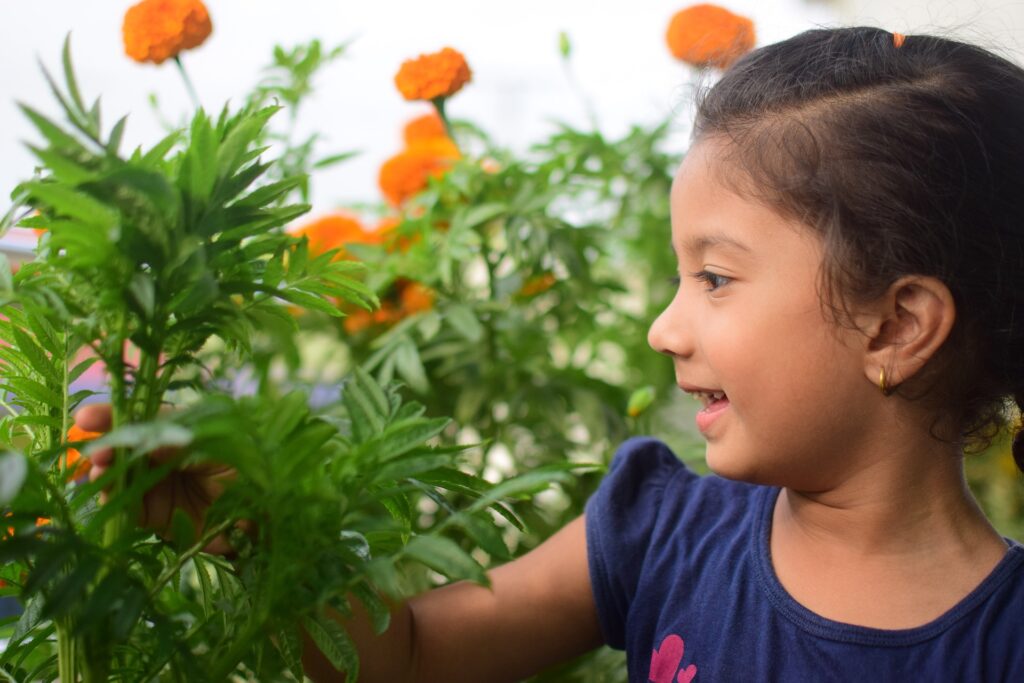 A little girl smiles as she looks at the mums she's growing in the garden.