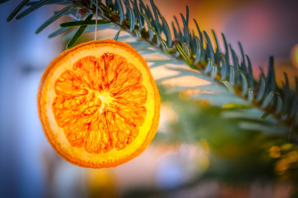 Dried orange slices are a natural Christmas tree decoration your local birds will love.