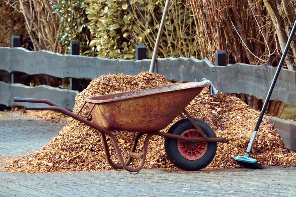 Turn your Christmas tree into wood chips and mulch for your garden.