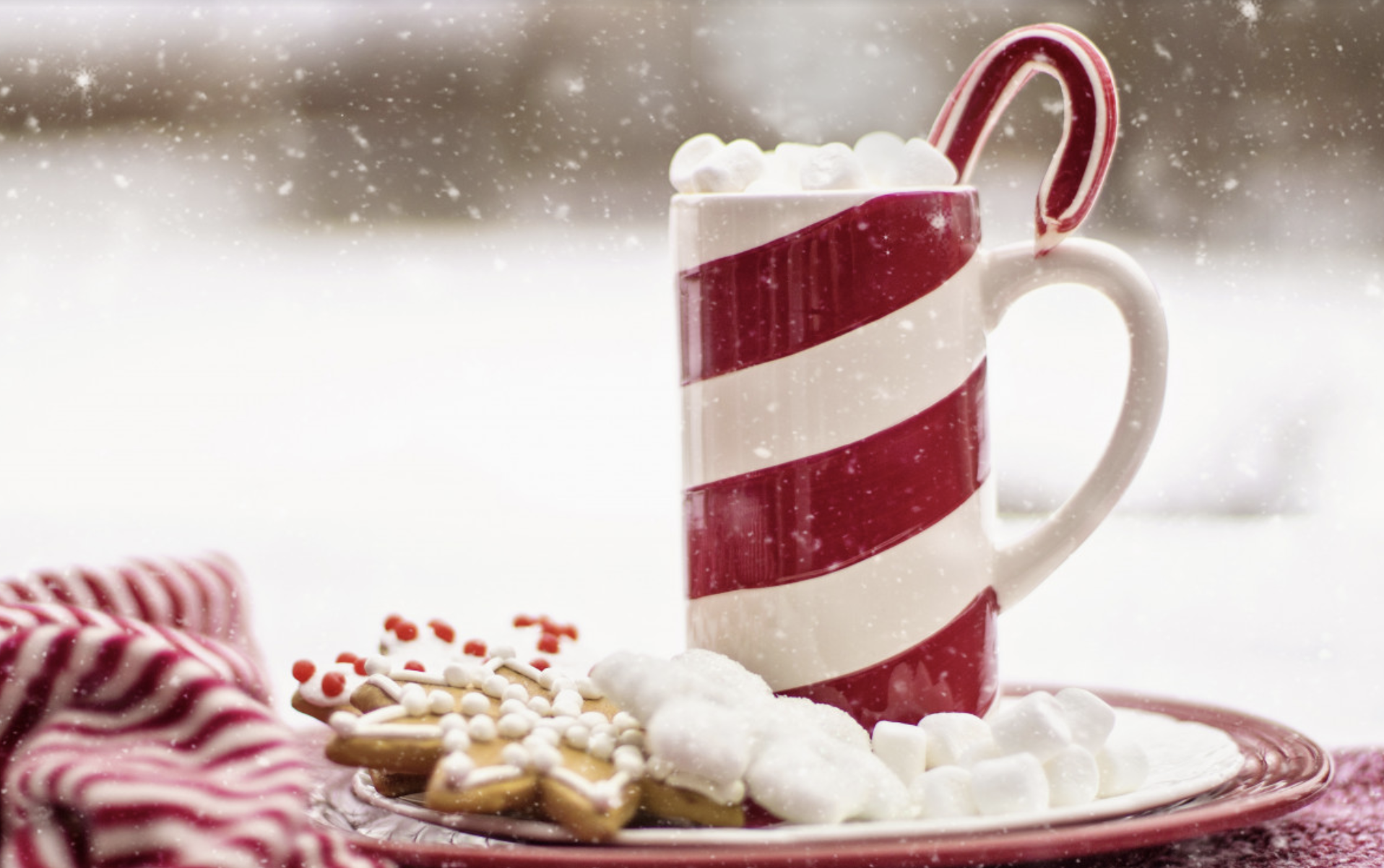 stripped red and white cup of hot cocoa with a candy cane