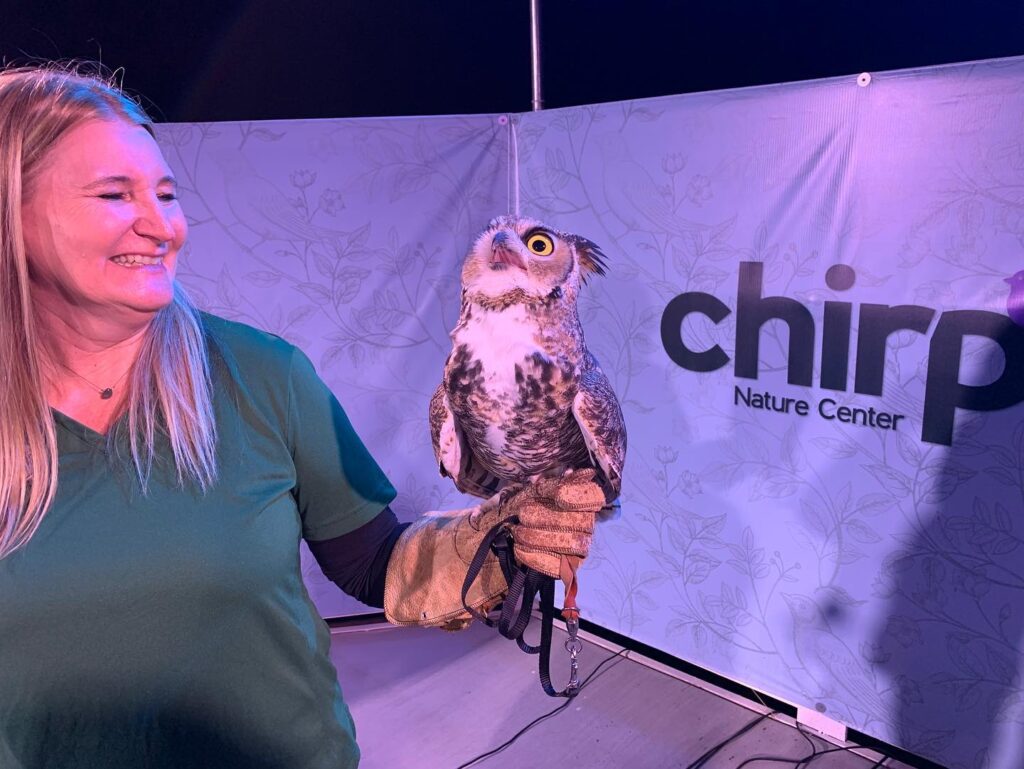 Christy McGiveron from Big Bear Alpine Zoo and Hootie the owl at one of Chirp's bird talks in the Chirp Backyard.