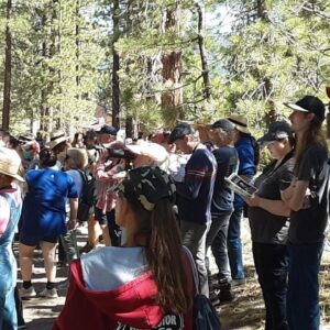 July Wild Bird Walk