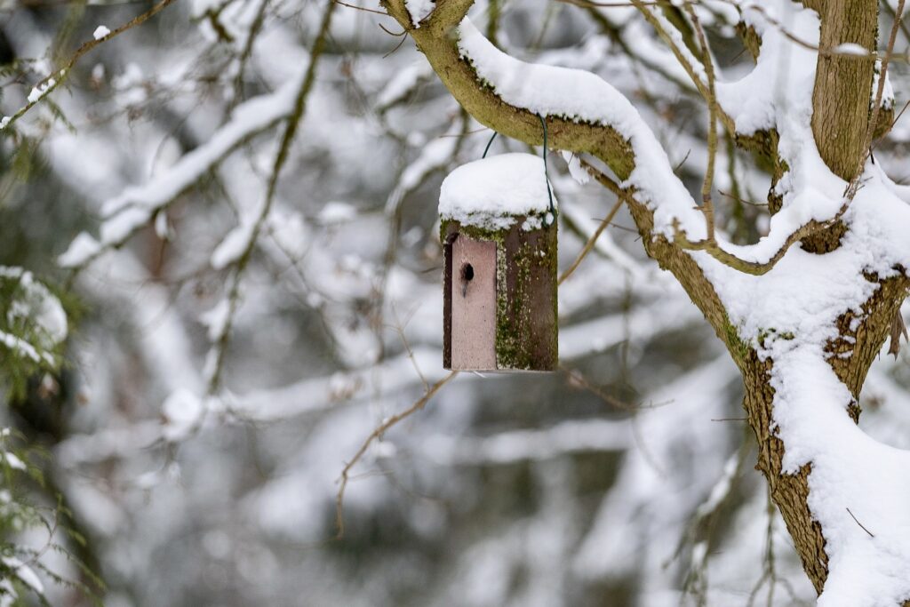 A winter birdhouse hangs from a tree in a snowy landscape.