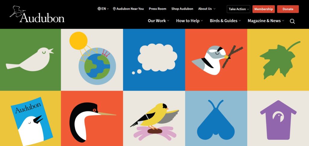The Audubon for Kids webpage.