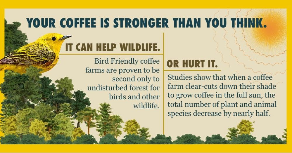 birds & beans coffee bird friendly infographic