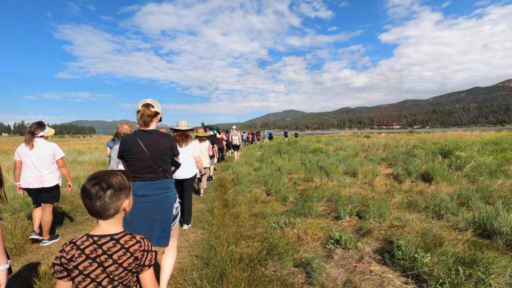 A Chirp Bird Walk at Von's Marsh.