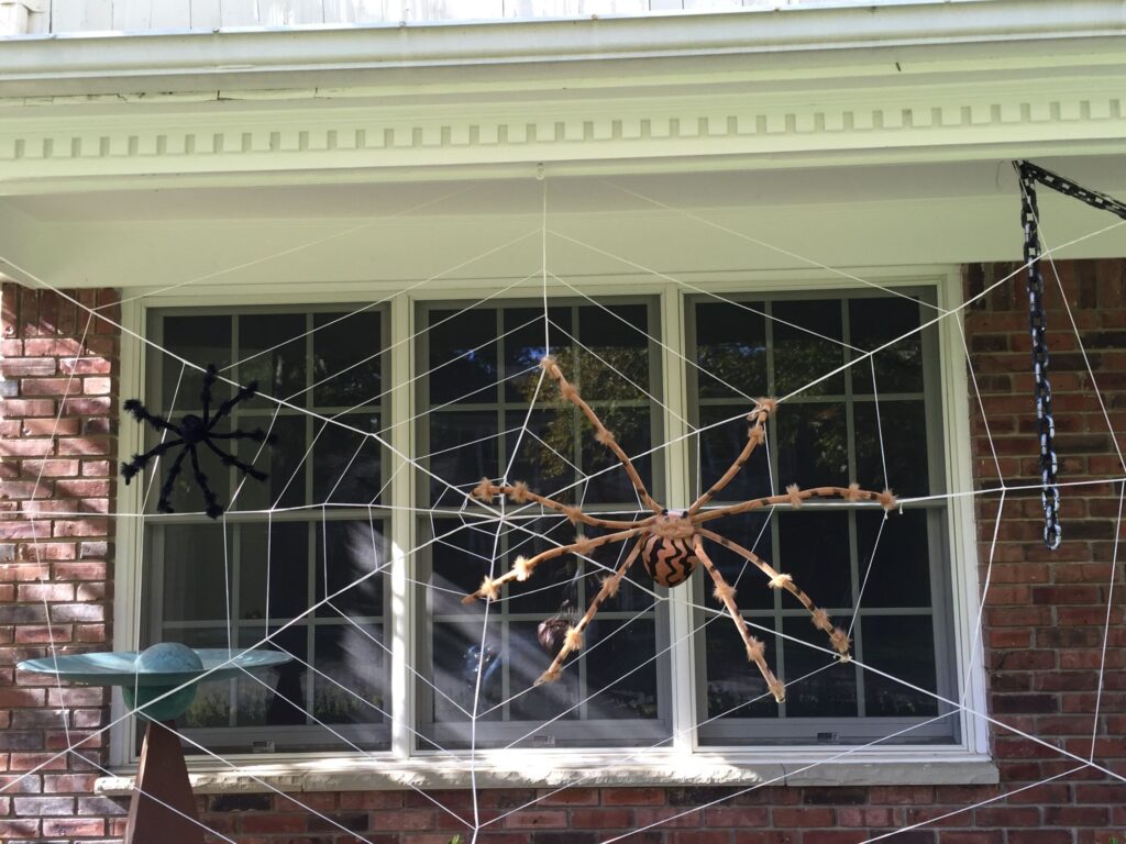 Keep birds safe this Halloween by restraining from using fake spider webs, like this one, and other decorations that birds can get caught and trapped in.
