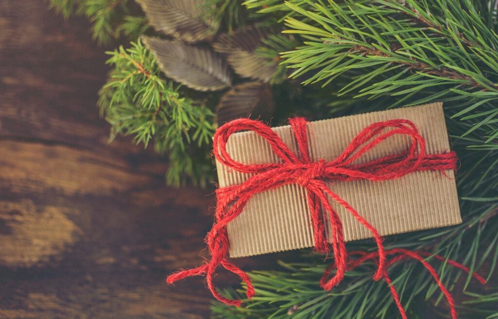 A simply wrapped holiday gift under the tree. Get all your shopping done at the Chirp online store!