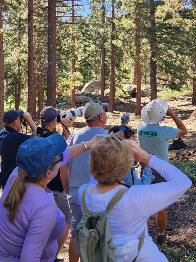 A group of Chirp birdwatchers taking in the sights on a Bird Walk. 