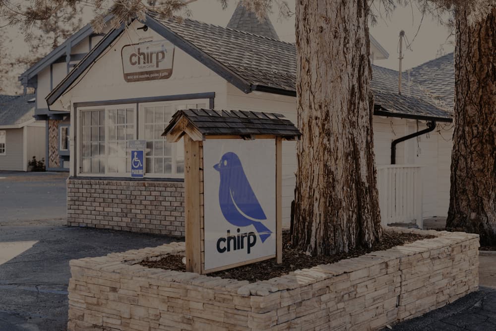 Chirp Storefront