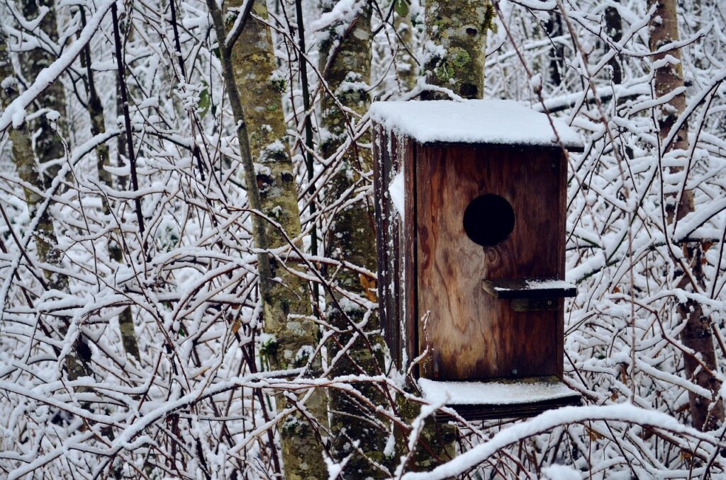 A birdhouse mounted high in a snow-filled tree.