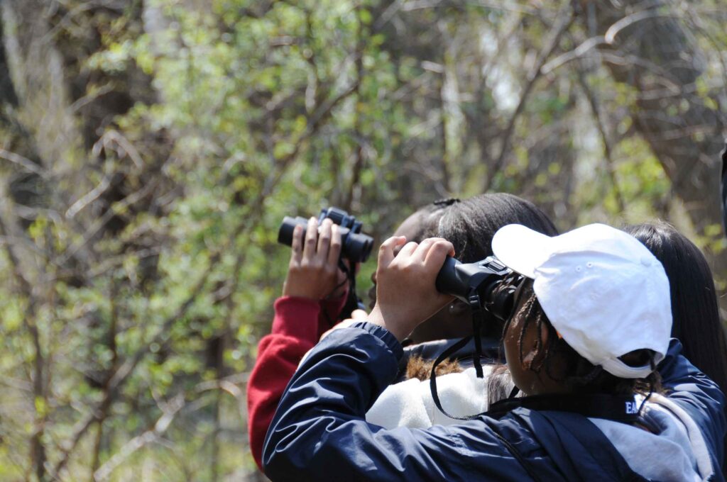A group of birdwatchers point their binoculars to nearby trees.