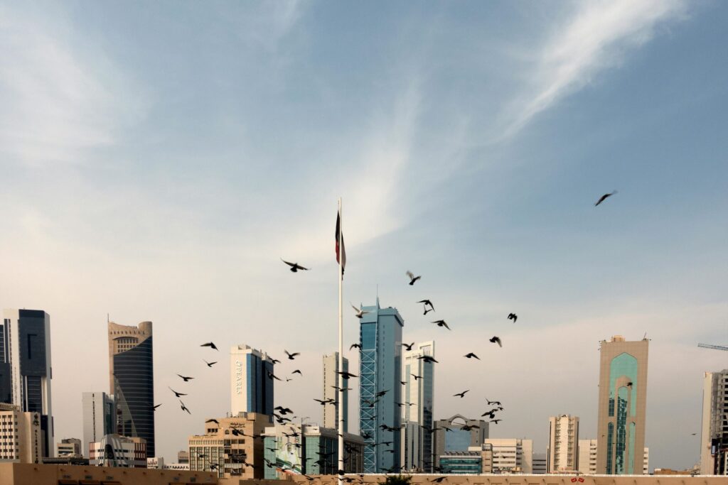A number of birds fly toward a city full of skyscrapers.