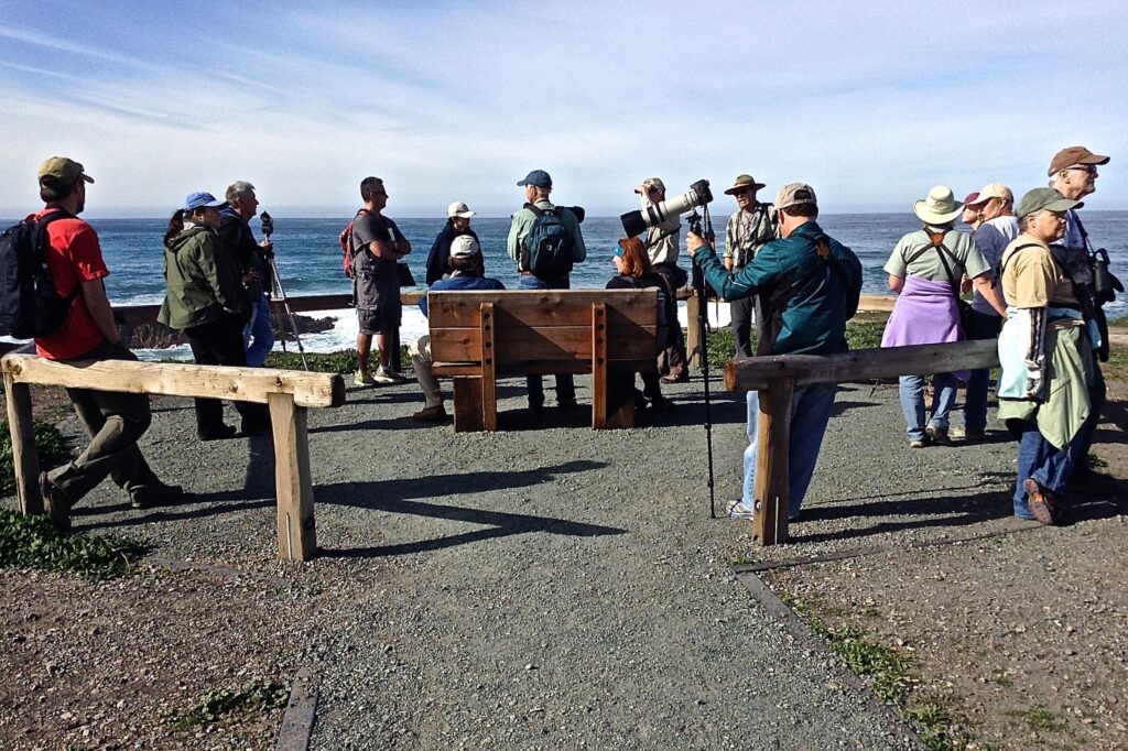 A birding group gathers at the coast with binoculars and gear.