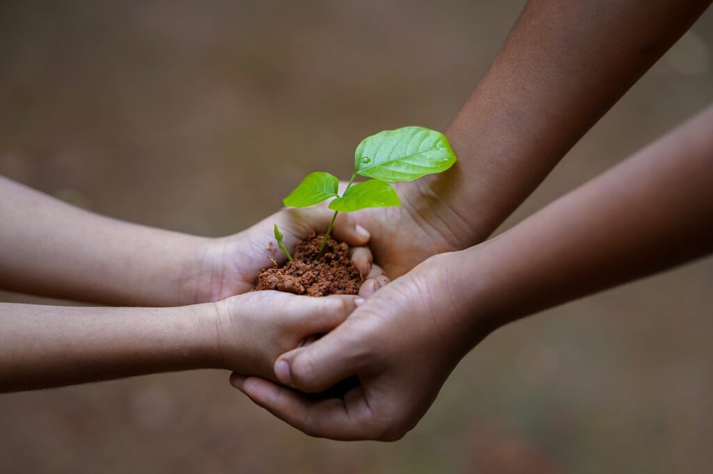 A child's two hands grasp a newly sprouted plant, ready to be planted in the ground, while two adult hands cradle the child's hands.