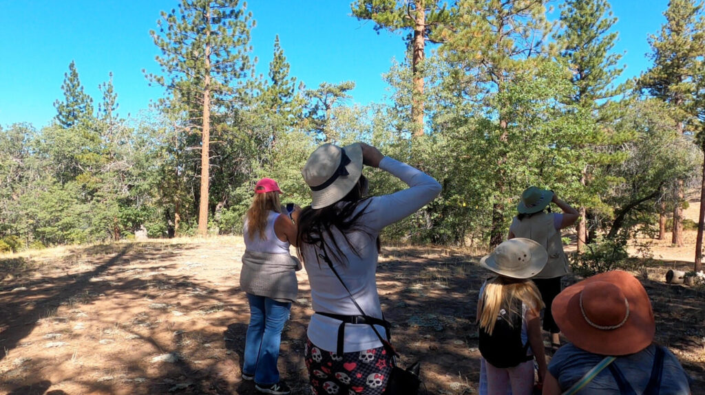 A group of nature lovers on a guided Chirp Bird Walk, taking photos and using binoculars to view the local birds. 