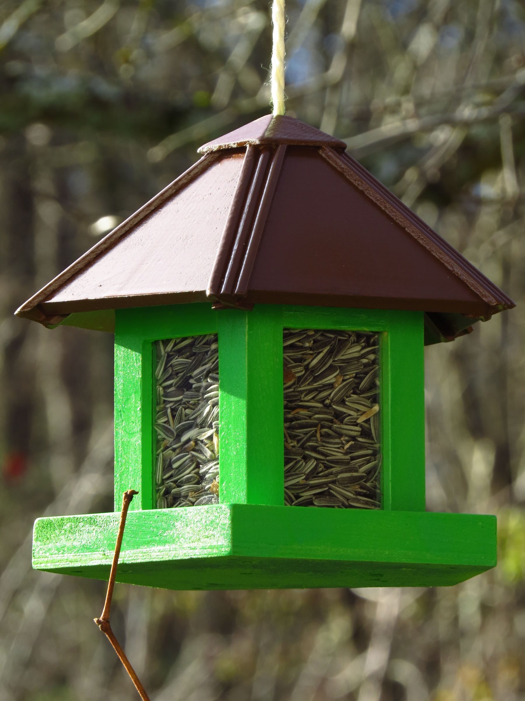 A green bird feeder full of sunflower seeds hangs, empty of birds.