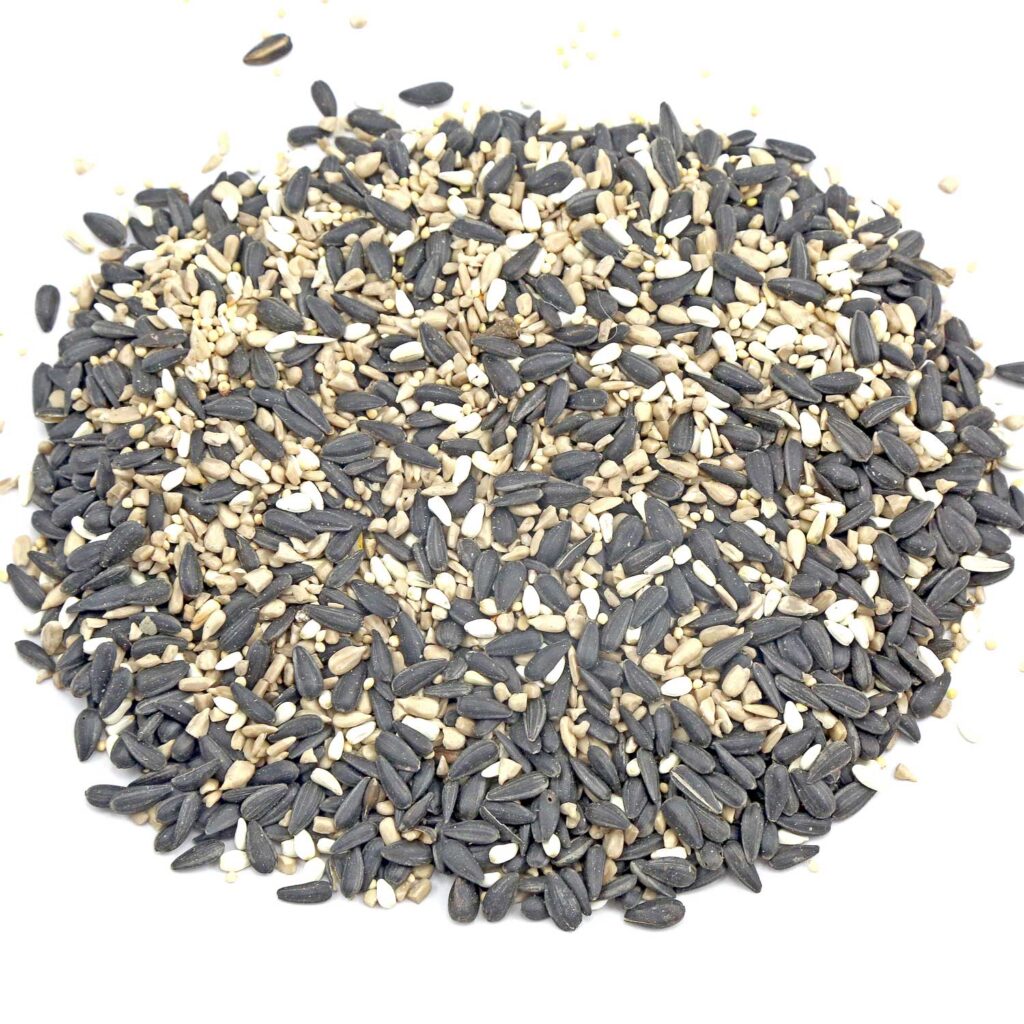 Chirp's Big Bear Blend seed mix is full of premium, high-energy foods, like black-oiled sunflower seeds, that local birds love. 