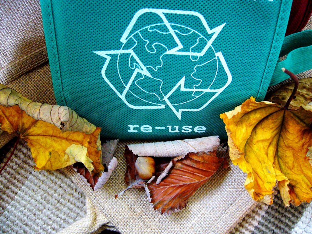 A green reusable bag with the world "re-use" is sitting on a couch, with autumn leaves surrounding it.