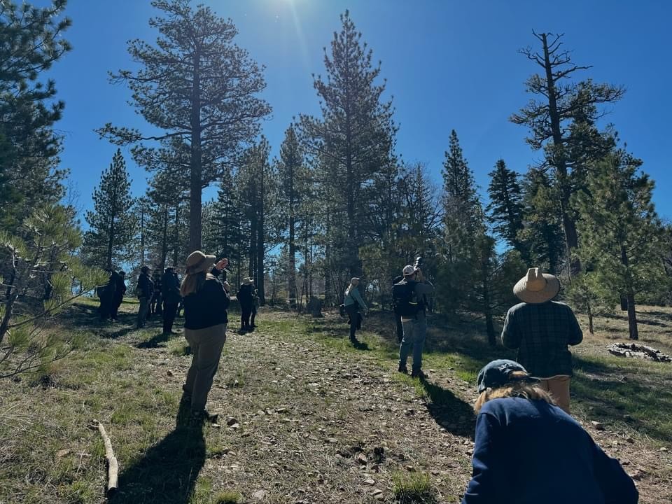 Join a group of likeminded nature lovers, like the one pictured here, on a guided bird walk through Big Bear Lake's most picturesque birding hotspots.