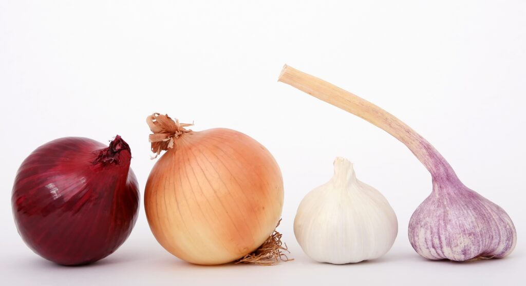 A red onion, yellow onion, garlic, and purple garlic in a row.