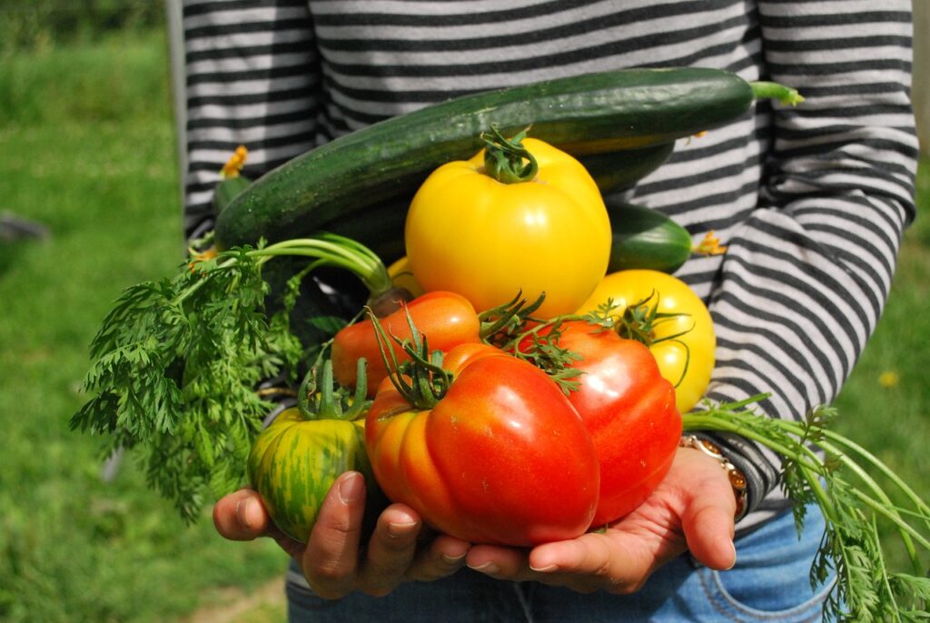 A woman with a black and white striped shirt holds out a bounty of fresh vegetables in her hands to the viewer.