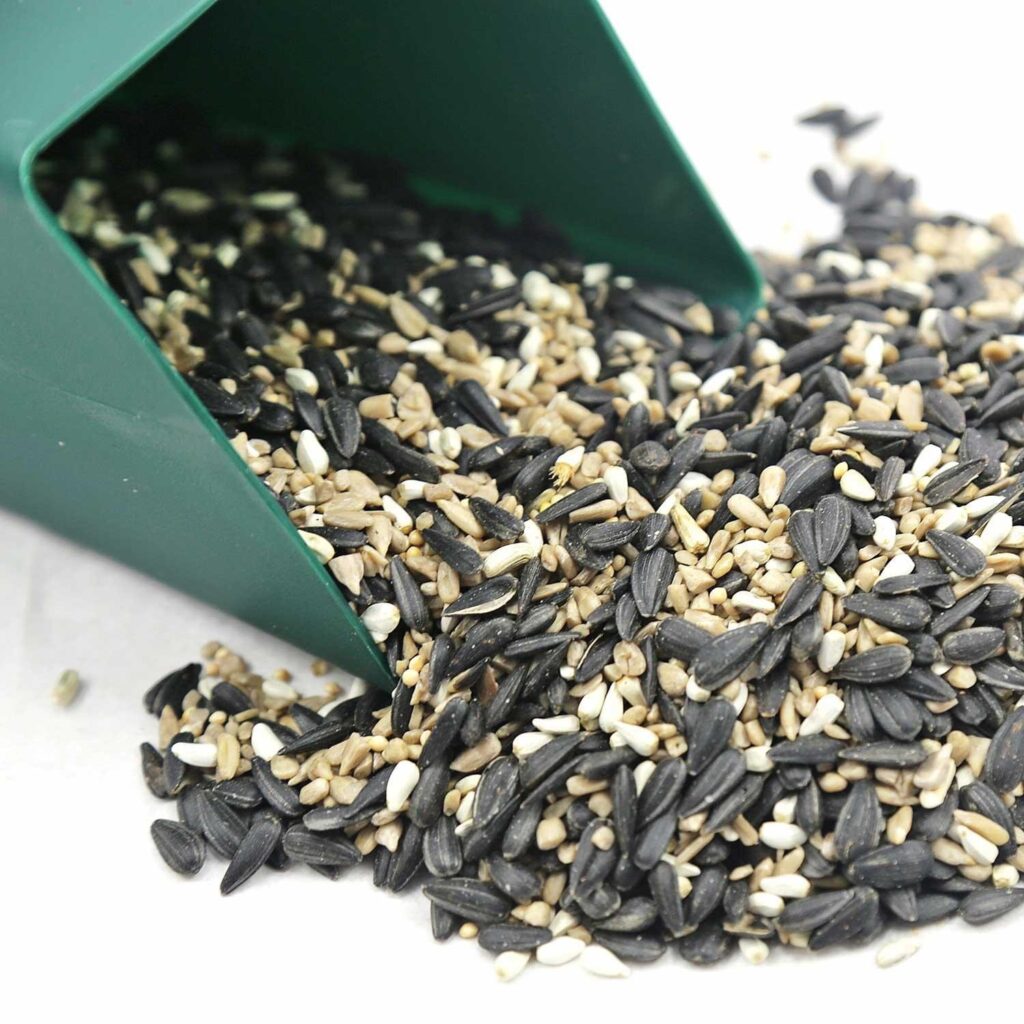 A scoop full of Chirp's Big Bear Blend bird seed mix, which is rich in nutrient-dense ingredients like black-oil sunflower seeds.