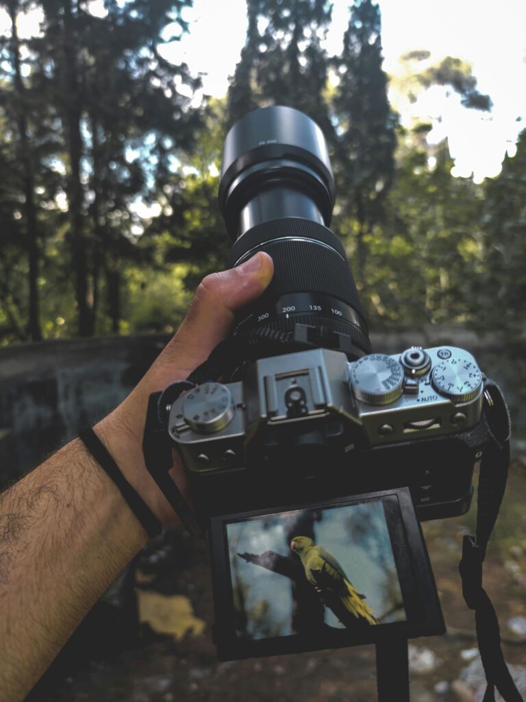 A hand holds a camera with a telephoto lens, with the view finder showing an image of a yellow and black bird.