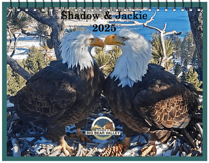 Shadow and Jackie 2025 Calendar, available in the Chirp store.