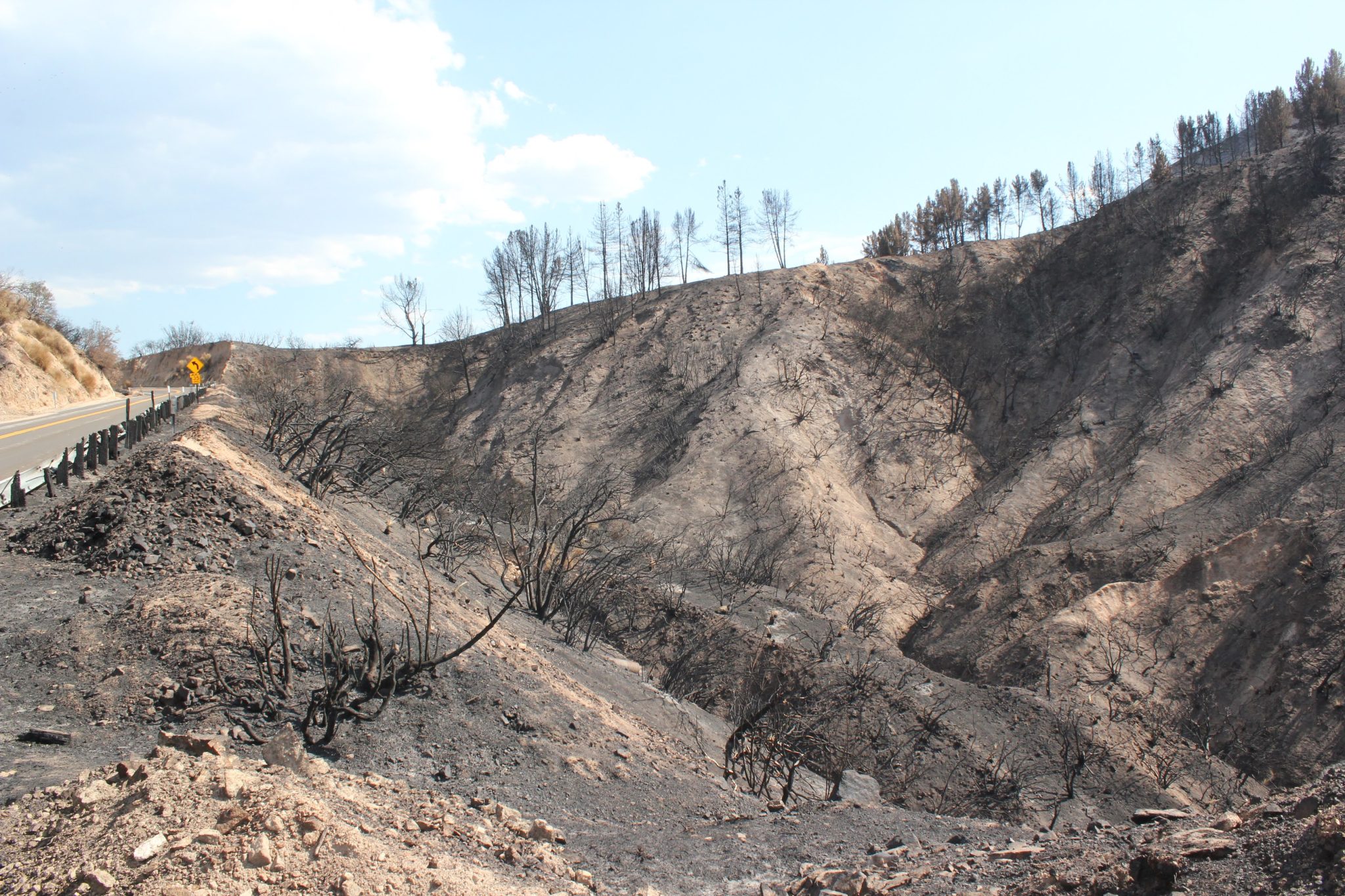 Devastation from the Line Fire in Big Bear Valley, courtesy of KBHR.