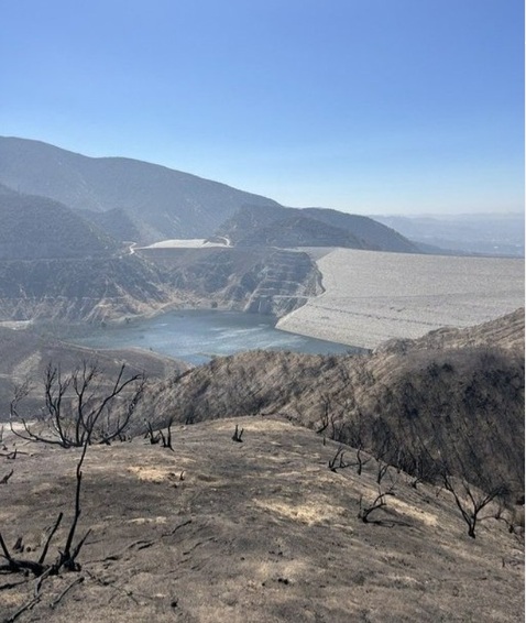 The Line Fire aftermath near Seven Oaks Dam; the landscape is like a moonscape, with charred trees and ground.