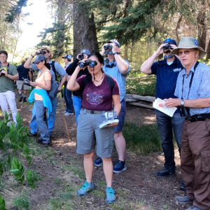 Wings and Wild Things Tickets - August 9