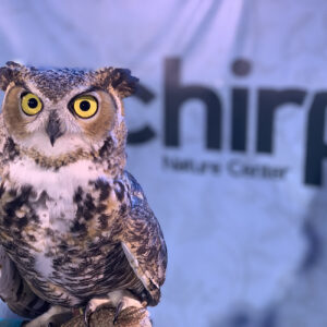 Wings and Wild Things Tickets - July 12