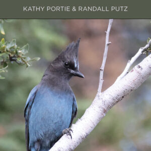 Best Birds in Big Bear Lake Field Guide