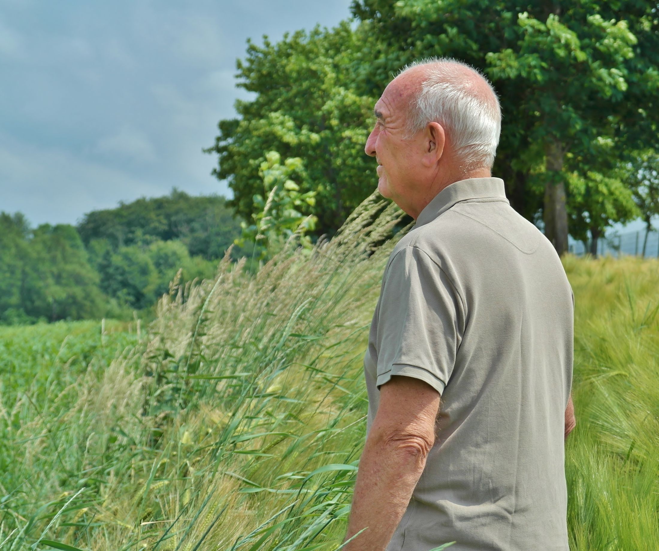 An older man smiles as he peers across a verdant natural landscape.