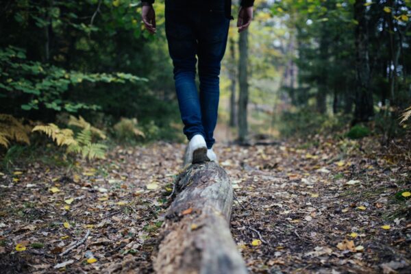 A man shown walking away from the camera, balancing on a fallen tree trunk, in a forest setting.