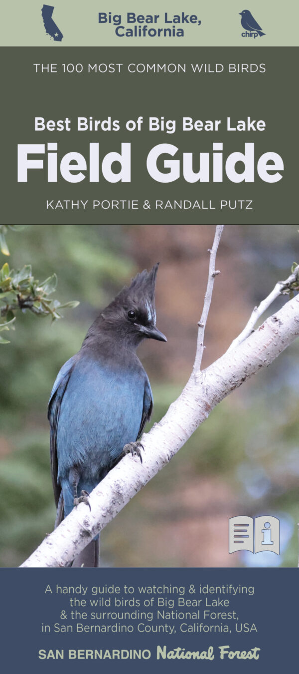 The Best Birds of Big Bear Lake Guide cover.