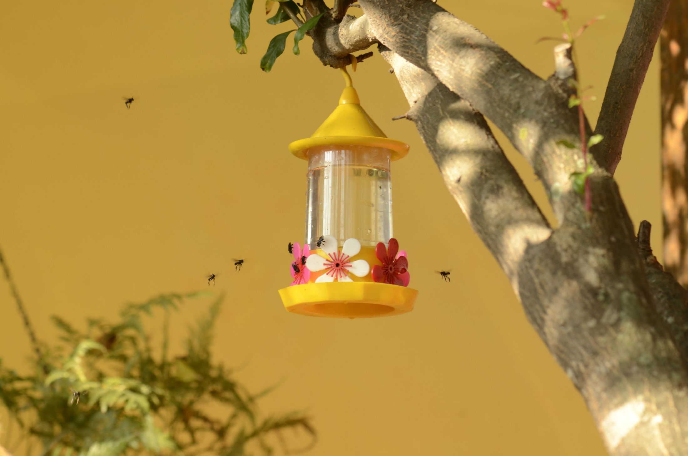 A bunch of bees swarm around a yellow hummingbird feeder with large white and red flower ports; image background, a soft yellow.