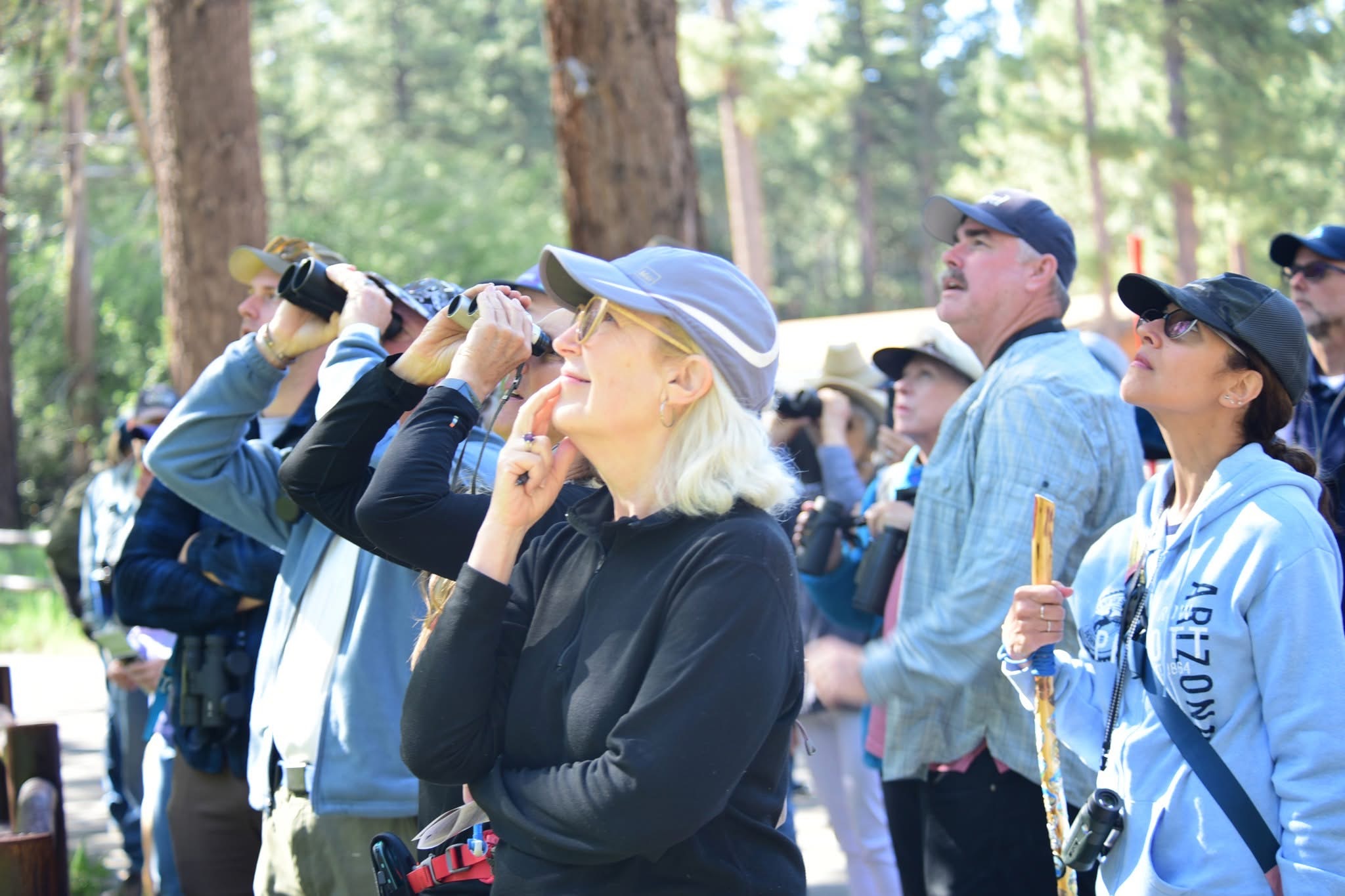 A group of birdwatchers shown from the side, as they smile and look with binoculars up into the sky in a nature setting; this is a photo shot at one of Chirp's free bird walks.