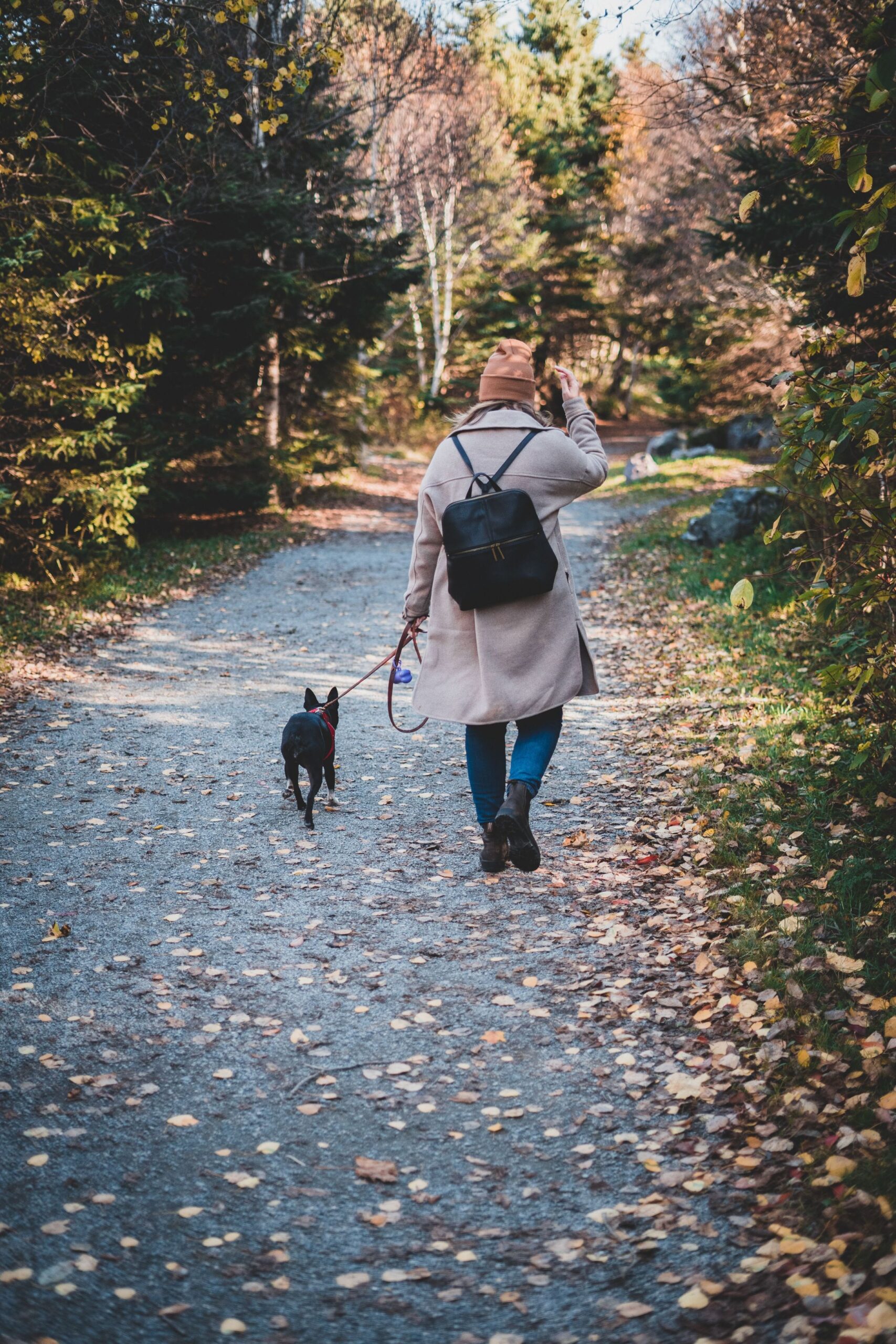 A woman and her small, leashed dog walk away from the camera, down a paved trail with autumn leaves strewn across the path.